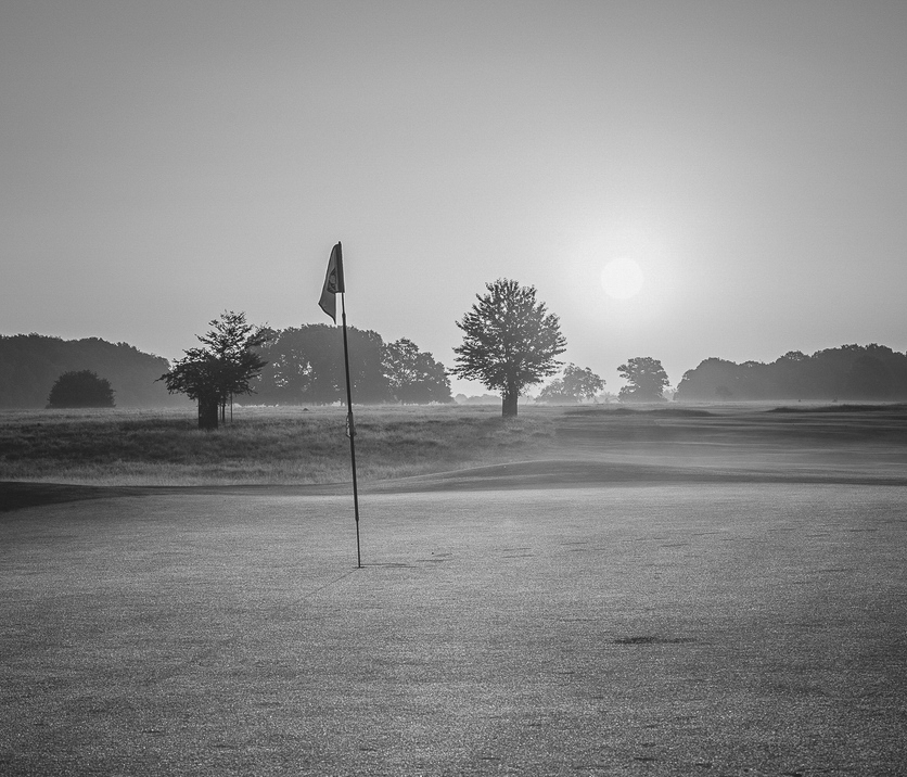 NewImageGolf