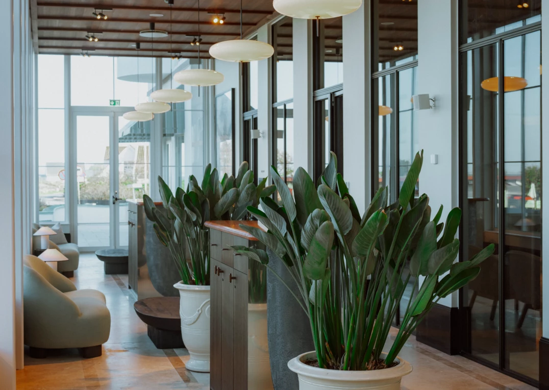 /media/883/download/Meeting%20%26%20conference%20lounge.jpg?v=1