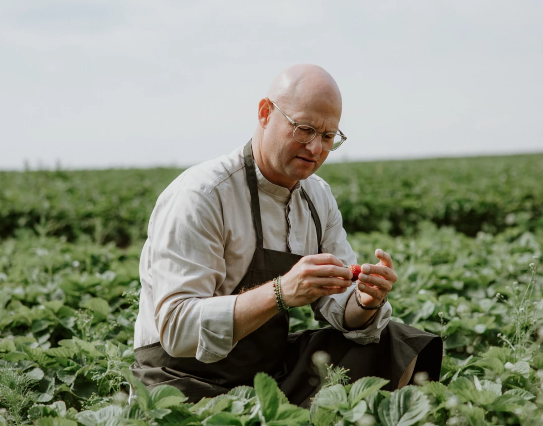 Farm 4