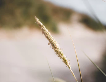 NewSilentLoungePicture