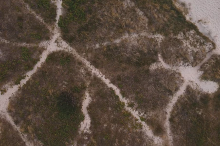 Capture d’écran, le 2025-11-17 à 17.09.37