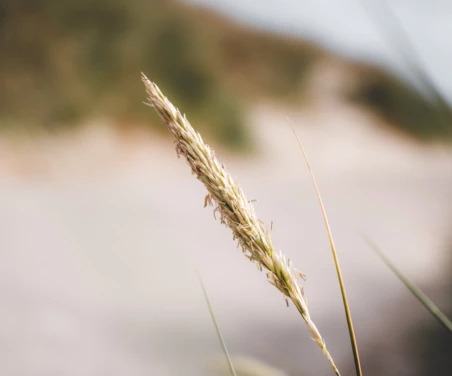 NewSilentLoungePicture