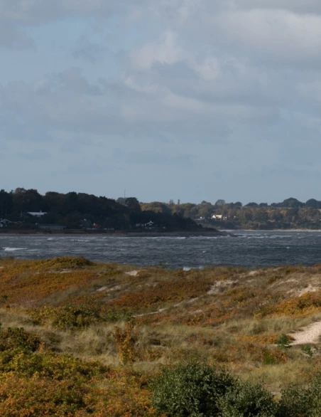 /media/242/download/NewRow2.jpg?v=1