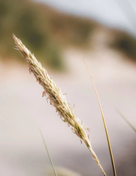 /media/248/download/V%20NewRow3.jpg?v=1