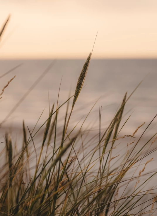 Untitled design (11)