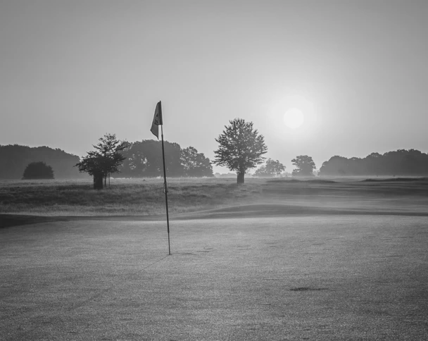 NewImageGolf