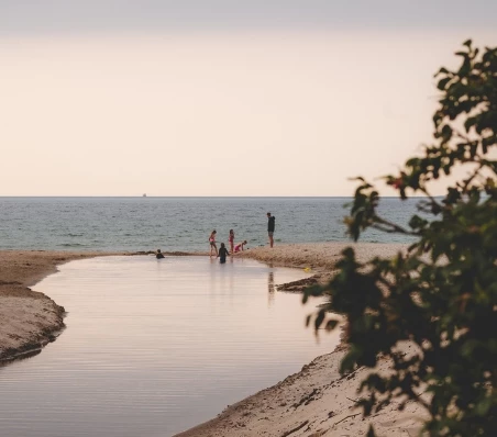 /media/249/download/V%20NewRow4.jpg?v=1