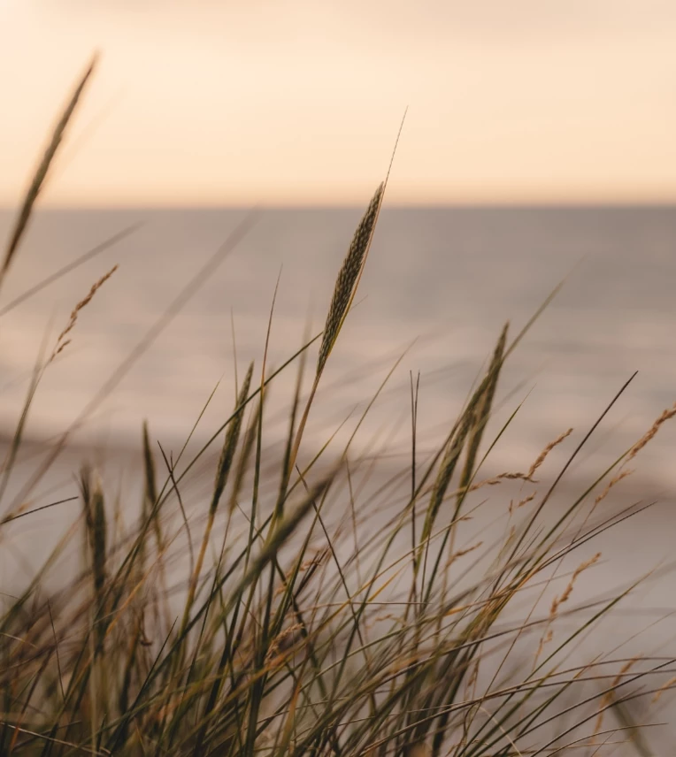 Untitled design (11)